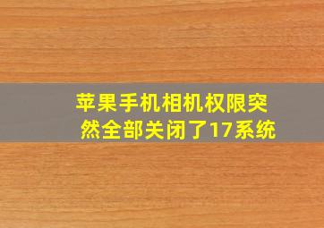 苹果手机相机权限突然全部关闭了17系统