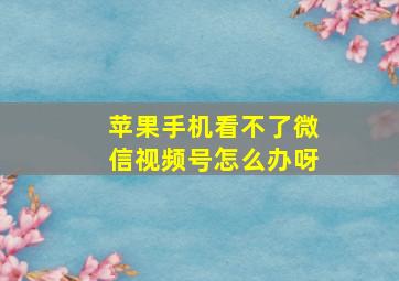 苹果手机看不了微信视频号怎么办呀