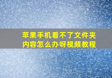 苹果手机看不了文件夹内容怎么办呀视频教程