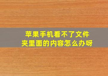 苹果手机看不了文件夹里面的内容怎么办呀