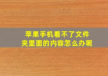 苹果手机看不了文件夹里面的内容怎么办呢