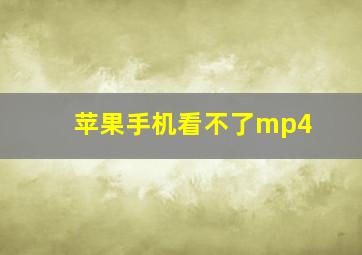 苹果手机看不了mp4