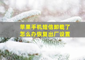 苹果手机短信卸载了怎么办恢复出厂设置