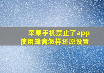 苹果手机禁止了app使用蜂窝怎样还原设置