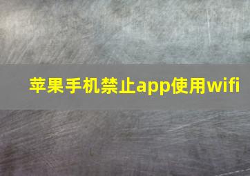 苹果手机禁止app使用wifi