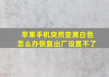 苹果手机突然变黑白色怎么办恢复出厂设置不了