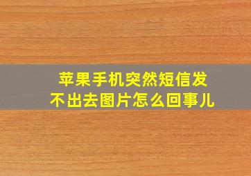 苹果手机突然短信发不出去图片怎么回事儿