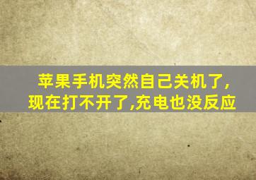 苹果手机突然自己关机了,现在打不开了,充电也没反应