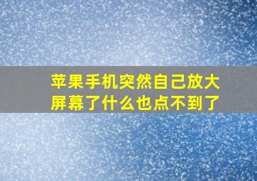 苹果手机突然自己放大屏幕了什么也点不到了