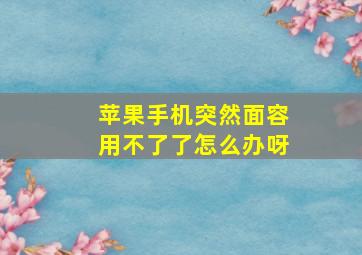 苹果手机突然面容用不了了怎么办呀