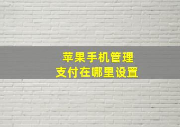 苹果手机管理支付在哪里设置