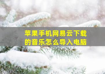 苹果手机网易云下载的音乐怎么导入电脑