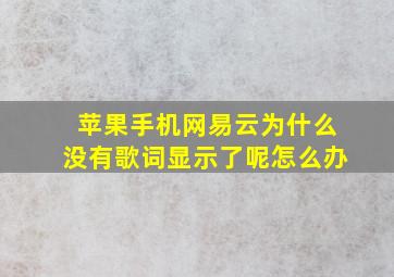 苹果手机网易云为什么没有歌词显示了呢怎么办