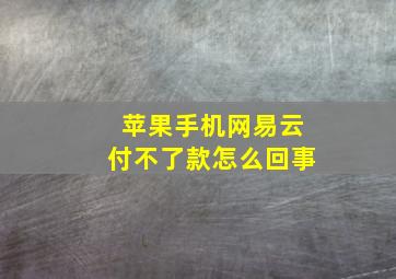 苹果手机网易云付不了款怎么回事