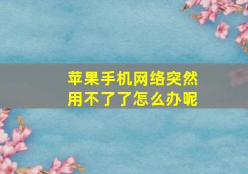 苹果手机网络突然用不了了怎么办呢