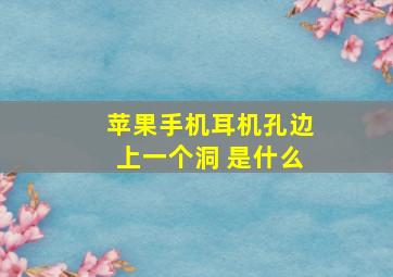 苹果手机耳机孔边上一个洞 是什么