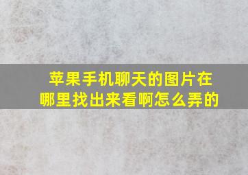 苹果手机聊天的图片在哪里找出来看啊怎么弄的