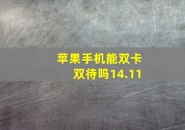 苹果手机能双卡双待吗14.11