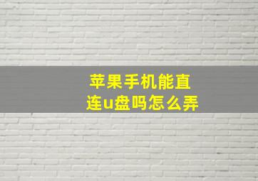 苹果手机能直连u盘吗怎么弄