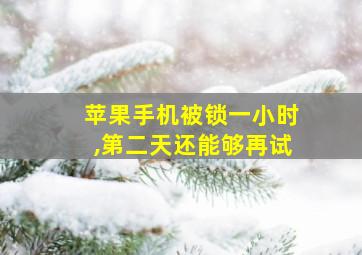 苹果手机被锁一小时,第二天还能够再试