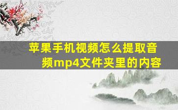 苹果手机视频怎么提取音频mp4文件夹里的内容