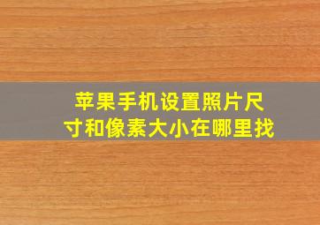 苹果手机设置照片尺寸和像素大小在哪里找