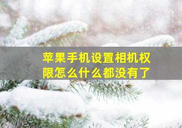 苹果手机设置相机权限怎么什么都没有了