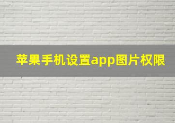 苹果手机设置app图片权限