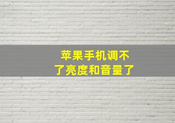 苹果手机调不了亮度和音量了