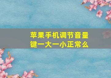 苹果手机调节音量键一大一小正常么