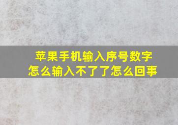 苹果手机输入序号数字怎么输入不了了怎么回事