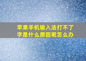 苹果手机输入法打不了字是什么原因呢怎么办