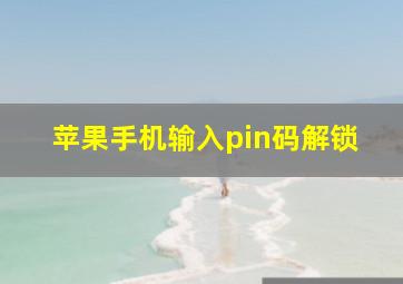 苹果手机输入pin码解锁