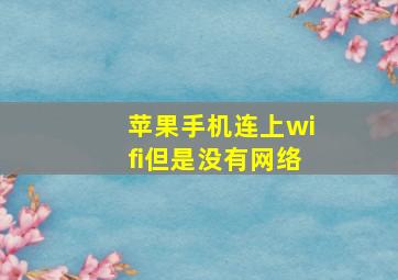 苹果手机连上wifi但是没有网络