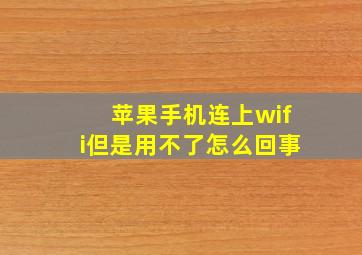 苹果手机连上wifi但是用不了怎么回事