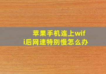 苹果手机连上wifi后网速特别慢怎么办