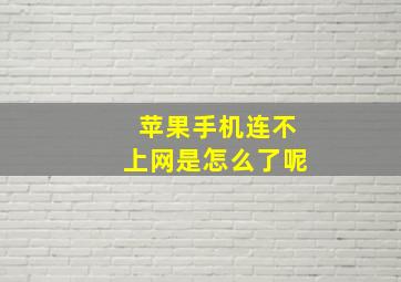 苹果手机连不上网是怎么了呢