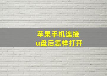 苹果手机连接u盘后怎样打开