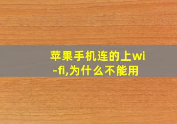 苹果手机连的上wi-fi,为什么不能用