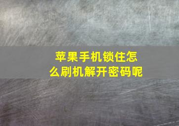 苹果手机锁住怎么刷机解开密码呢