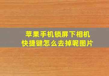 苹果手机锁屏下相机快捷键怎么去掉呢图片