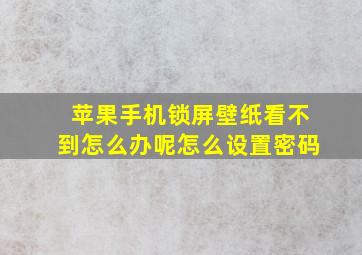 苹果手机锁屏壁纸看不到怎么办呢怎么设置密码