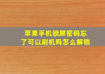 苹果手机锁屏密码忘了可以刷机吗怎么解锁