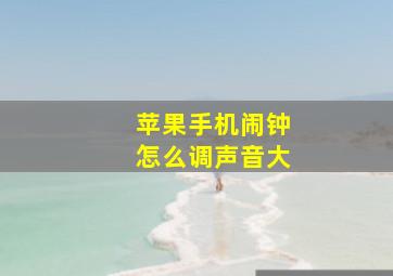 苹果手机闹钟怎么调声音大