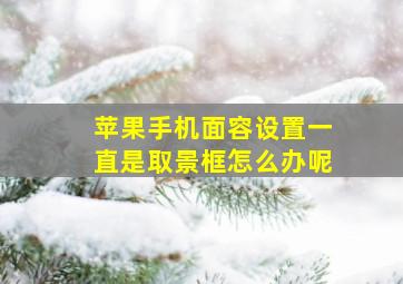 苹果手机面容设置一直是取景框怎么办呢