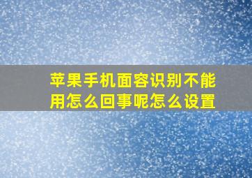 苹果手机面容识别不能用怎么回事呢怎么设置