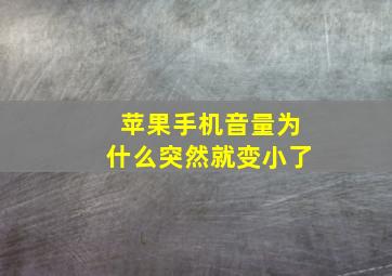 苹果手机音量为什么突然就变小了