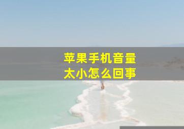 苹果手机音量太小怎么回事