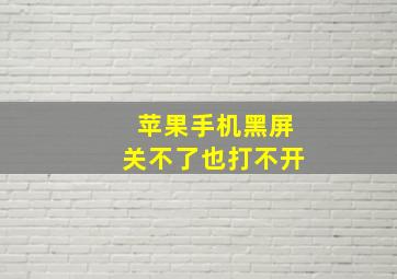 苹果手机黑屏关不了也打不开