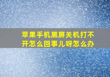 苹果手机黑屏关机打不开怎么回事儿呀怎么办